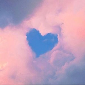 Meet your Posher, Dakota